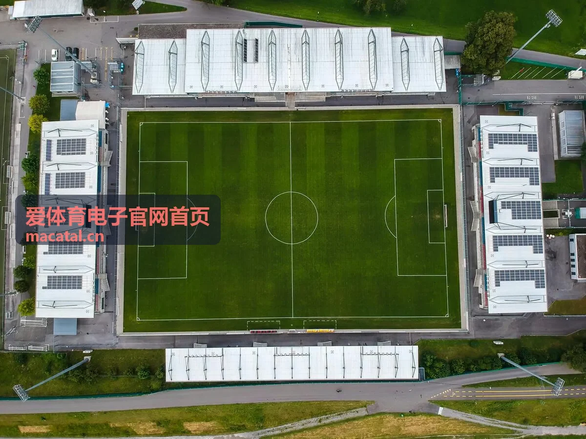 爱体育电子官网首页客户端赛事直播与实时数据界面预览